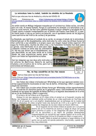 -33-
MAYO ´20CRÓNICAS del Al-Yussana
AÑO XI - Nº 13
C.E.I.P.“AL-YUSSANA”
LUCENA (Córdoba)
La naturaleza toma la ciudad, también los aledaños de La Rosaleda
Noticia que relaciona ríos de Andalucía y efectos del COVID-19.
Fuente: Eldesmarque.com. https://eldesmarque.com/malaga/malaga-cf/malaga-
noticias/226181-la-naturaleza-toma-la-ciudad-tambien-los-aledanos-de-la-rosaleda-patos-
garzas
Se están viendo en Málaga imágenes inusuales por el coronavirus. Calles vacías, con alma
pero sin vida. Al menos humana. Porque la cuarentena ha animado a la naturaleza a se-
guir su curso natural. Se han visto jabalíes bajando a buscar alimento a las playas de la
ciudad, patos cruzando tranquilamente por el asfalto del Puente Juan Pablo II, y cuan-
do llueve huele a vida en un centro sin polución, con el agradable sonido de los pájaros
como sustitutivo del tráfico de coches y de personas.
La Rosaleda, que mantiene el cuidado de su verde, no escapa al saludo de la naturaleza.
Delimitada por el Río Guadalmedina, este miércoles ha visto como las últimas lluvias le
han conferido a sus aledaños y al propio cauce una imagen inusual (vídeo superior). El
agua ha traído patos, muchos de ellos crías, y los humedales formados han dado paso
a garzas, aves habituales en la zona pero espe-
cialmente visibles en estos días de confinamien-
to. No hay que obviar que el Guadalmedina, aun-
que descuidado, es una zona verde de la ciudad
donde las aves migratorias suelen parar, más
ahora con todos los ingredientes actuales.
Son las imágenes que nos deja este miércoles en
el entorno de Martiricos, desierto de ajetreo
humano y sin el bullicio de la rutina, pero con la
naturaleza abriéndose paso.
No, no hay cocodrilos en los ríos vascos
Noticia falsa sobre los ríos del País Vasco.
Fuente: Eitb.eus: https://www.eitb.eus/es/noticias/curiosidades/detalle/7137480/bulos-no-no-hay-
cocodrilos-rios-vascos/
Son falsos dos vídeos viralizados por WhatsApp en los que aparecen sendos coco-
drilos supuestamente localizados en dos ríos de Getxo, Ormaiztegi, Oñati o Legorreta,
según las versiones.
Dos vídeos que circulan estas últimas horas por WhatsApp sitúan supuestamente
a dos cocodrilos en distintos puntos de la geografía vasca. Concretamente uno estaría
nadando en las aguas del humedal de Bolue (Getxo) y el segundo descansando en la orilla
de un río de Ormaiztegi, Oñati o Legorreta.
El primero de los vídeos es el siguiente:
Aunque la voz que aparece en el vídeo sitúa al animal en el humedal vizcaíno de
Bolue, las imágenes en realidad están extraídas de un vídeo publicado en YouTube en
2015. En él se puede ver a un aligátor desplazándose por un estanque de la ciudad de
Daphne (Alabama). El vídeo original tiene una duración de 2:23 y es a partir del 1:15
cuando las imágenes de los dos vídeos se hacen idénticas.
En el segundo de los falsos vídeos se puede ver a un perro
dentro de un río mientras se acerca y luego se aleja con gran
sigilo (atentos al audio: ni los chapoteos del perro ni el rumor
del río se escuchan) a un réptil de grandes dimensiones
(supuestamente un cocodrilo) que reposa inmóvil en la orilla de
un río de Ormaiztegi (otros lo situaban en Oñati o Legorreta).
Su "dueño" llama al animal en euskera y luego maldice a la
gente con un audio sin sonido ambiente. Una broma, cuando me-
nos, muy elaborada.
Verónica
Olivares
Ramírez.
5ºC
 