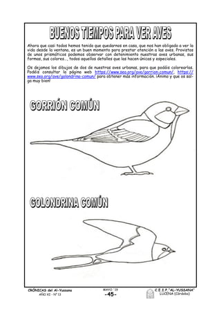 -45-
MAYO ´19CRÓNICAS del Al-Yussana
AÑO XI - Nº 13
C.E.I.P.“AL-YUSSANA”
LUCENA (Córdoba)
Ahora que casi todos hemos tenido que quedarnos en casa, que nos han obligado a ver la
vida desde la ventana, es un buen momento para prestar atención a las aves. Provistos
de unos prismáticos podemos observar con detenimiento nuestras aves urbanas, sus
formas, sus colores…, todos aquellos detalles que las hacen únicas y especiales.
Os dejamos los dibujos de dos de nuestras aves urbanas, para que podáis colorearlas.
Podéis consultar la página web https://www.seo.org/ave/gorrion-comun/, https://
www.seo.org/ave/golondrina-comun/ para obtener más información. ¡Ánimo y que os sal-
ga muy bien!
 