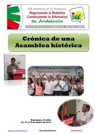 www.conmasfuerza.org #AsambleaAndaluza @iuandalucia
Crónica de una
Asamblea histórica
Bormujos, Sevilla
14, 15 y 16 de junio de 2013
 