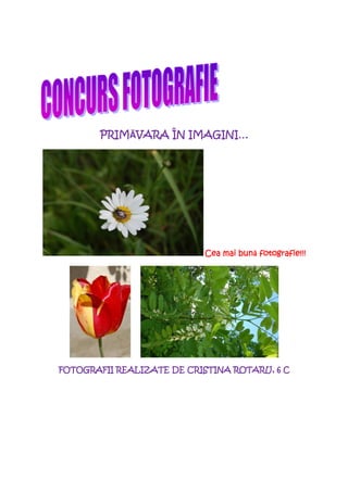 PRIMĂVARA
       PRIM VARA ÎN IMAGINI…




                                   bună fotografie!!!
                           Cea mai bun fotografie!!!




FOTOGRAFII REALIZATE DE CRISTINA ROTARU, 6 C
 