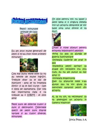 Un sfat pentru voi: nu lasati 2
                                     pesti beta si o singura femela
                                     intr-un acvariu deoarece se vor
        Pestii - minunate            bate pina unul dintre ei va
        animale de casa              muri.




                                     Uitati si niste sfaturi pentru
Eu am avut multe generatii de        evitarea imbolnavirii pestilor:
pesti si mi-au fost niste prieteni   -evita ca apa sa ajunga pe
minunati !                           galeria iluminatoare
                                     -limiteaza caderile de praf in
                                     apa
                                     -impiedica pestii saritari sa
                                     scape din recipient (nu stiu
                                     cum; eu nu am putut sa fac
Cea mai buna veste este ca nu
                                     asta! ☺)
au nevoie de multe ingrijiri.
                                     -limiteaza evaporarea
Trebuie doar sa le dai de
                                     Sper ca sfaturile mele v-au
mancare - asta se va intampla
                                     ajutat sau va vor ajuta sa
zilnic!- si sa le faci curat - cam
                                     mentineti sanatosi pestii din
o data pe saptamana. Dar cea
                                     acvariu.
mai importanta faza e ca
trebuie sa ii IUBITI - ei simt
                                     A, sa nu uit, va recomand sa
asta!
                                     va amenajati un acvariu in
                                     camera voastra!!!
Pesti sunt de diferite culori si
sunt si decorativi. Diferitele
specii de pesti sunt foarte
variate si au culori diverse,
minunate.
                                                    Ilinca Popa, 5 A
 