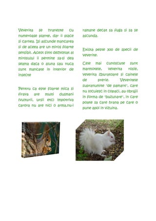 Veverita     se    hraneste   cu    ramane decat sa fuga si sa se
numeroase plante, dar ii place      ascunda.
si carnea. Isi ascunde mancarea
si de aceea are un miros foarte
                                    Exista peste 300 de specii de
sensibil. Acest simt dezvoltat al
                                    veverite.
mirosului ii permite sa-si dea
seama daca o aluna sau nuca         Cele   mai       cunoscute    sunt
sunt mancate in interior de         marmotele,        veverita   rosie,
insecte                             veverita zburatoare si cainele
                                    de          prerie.     Veveritele
                                    supranumite "de pamant", care
Pentru ca este foarte mica si
                                    nu locuiesc in copaci, au obrajii
firava     are    multi   dusmani
                                    in forma de "buzunare", in care
(vulturii, ursii etc) impotriva
                                    poate sa care hrana pe care o
carora nu are nici o arma,nu-i
                                    pune apoi in vizuina.
 