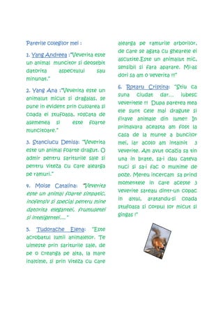 Parerile colegilor mei :             alearga pe ramurile arborilor,
                                     de care se agata cu ghearele ei
1. Yang Andreea :”Veverita este
                                     ascutite.Este un animalut mic,
un animal muncitor si deosebit
                                     sensibil si fara aparare. Mi-as
datorita       aspectului     sau
                                     dori sa am o veverita !!!”
minunat.”
                                     6. Rotaru Cristina: “Stiu ca
                                               Cristina:
   Yang     :”Veverita este un
2. Yang Ana :”
                                     suna    ciudat    dar…       iubesc
animalut micut si dragalas, se
                                     veveritele !!! Dupa parerea mea
pune in evident prin culoarea si
                                     ele sunt cele mai dragute si
coada ei stufoasa, roscata de
                                     firave animale din lume!! In
asemenea      si    este    foarte
                                     primavara aceasta am fost la
muncitoare.”
                                     casa de la munte a buncilor
3. Stanciucu Denisa: “Veverita       mei, iar acolo am intalnit        3
este un animal foarte dragut. O      veverite. Am avut ocazia sa tin
admir pentru sariturile sale si      una in brate, sa-i dau cateva
pentru viteza cu care alearga        nuci si sa-i fac o multime de
pe ramuri.”                          poze. Mereu incercam sa prind
                                     momentele in care aceste 3
4. Moise Catalina: “Veverita
                                     veverite sareau dintr-un copac
este un animal foarte simpatic,
                                     in   altul,   aratandu-si    coada
inofensiv si special pentru mine
                                     stufoasa si corpul lor micut si
datorita elegantei, frumusetei
                                     gingas !”
si inteligentei....”

5.   Tudorache     Elena:
                   Elena:    “Este
acrobatul lumii animalelor. Te
uimeste prin sariturile sale, de
pe o creanga pe alta, la mare
inaltime, si prin viteza cu care
 