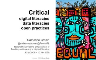 Critical
digital literacies
data literacies
open practices
Catherine Cronin
@catherinecronin @ForumTL
National Forum for the Enhancement of
Teaching and Learning in Higher Education
#CityDLOP  10 Jan 2020
Image: CC0 Oliver Cole
 