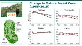 Internal Migration, Settlement and Deforestation in the Peruvian Amazon