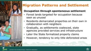 Internal Migration, Settlement and Deforestation in the Peruvian Amazon