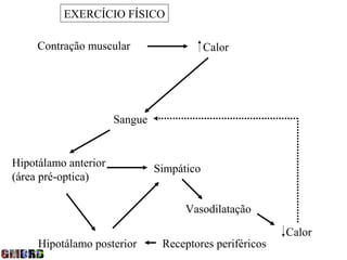 EXERCÍCIO FÍSICO

     Contração muscular                    Calor




                      Sangue


Hipotálamo anterior            Simpático
(área pré-optica)

                                     Vasodilatação

                                                         Calor
     Hipotálamo posterior       Receptores periféricos
 