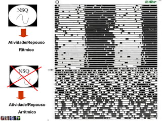 Atividade/Repouso
     Rítmico




Atividade/Repouso
    Arrítmico
 