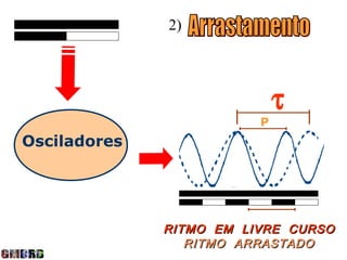 2)




                             τ
                         P
Osciladores




              RITMO EM LIVRE CURSO
                 RITMO ARRASTADO
 