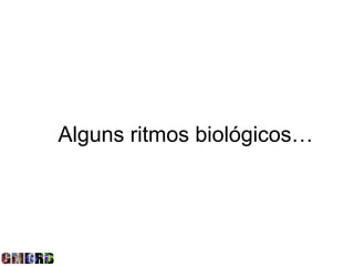 Alguns ritmos biológicos…
 