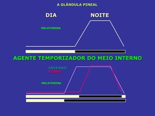 A GLÂNDULA PINEAL


         DIA                 NOITE

       MELATONINA




AGENTE TEMPORIZADOR DO MEIO INTERNO
          INVERNO
          VERÃO


       MELATONINA
 