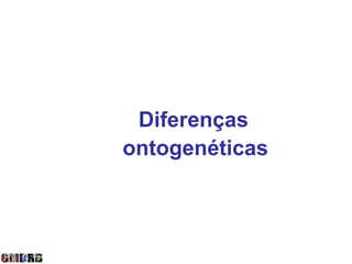 Diferenças
ontogenéticas
 