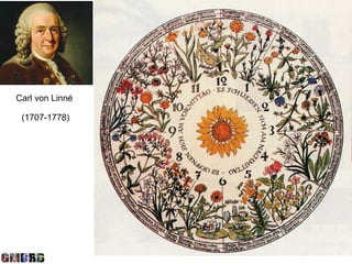 Carl von Linné

 (1707-1778)
 