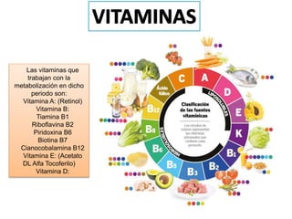 Las vitaminas que
trabajan con la
metabolización en dicho
periodo son:
Vitamina A: (Retinol)
Vitamina B:
Tiamina B1
Riboflavina B2
Piridoxina B6
Biotina B7
Cianocobalamina B12
Vitamina E: (Acetato
DL Alfa Tocoferilo)
Vitamina D:
 