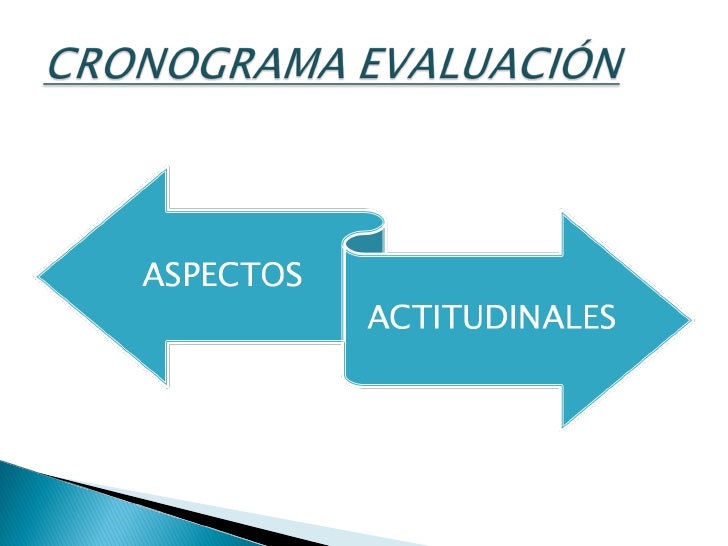 cronogram