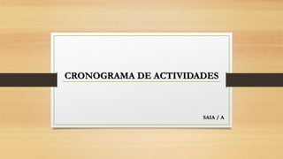 CRONOGRAMA DE ACTIVIDADES
SAIA / A
 