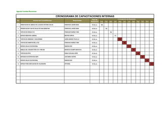 Cronograma anual de capacitaciones pereira | PDF