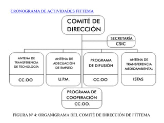CRONOGRAMA DE ACTIVIDADES FITTEMAFIGURA Nº 4: ORGANIGRAMA DEL COMITÉ DE DIRECCIÓN DE FITTEMA 