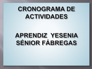 Cronograma de actividades (diapositiva)
