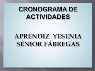 Cronograma de actividades (diapositiva) (1)