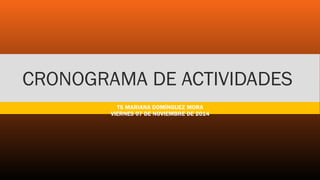 CRONOGRAMA DE ACTIVIDADES 
TS MARIANA DOMÍNGUEZ MORA 
VIERNES 07 DE NOVIEMBRE DE 2014 
 