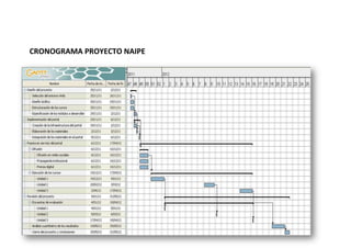 -233045635000CRONOGRAMA PROYECTO NAIPE<br />