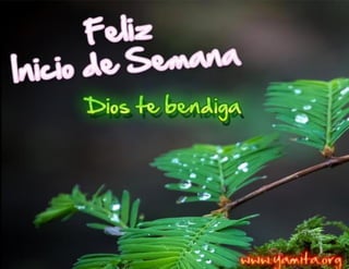 Cronograma semana 28   2019