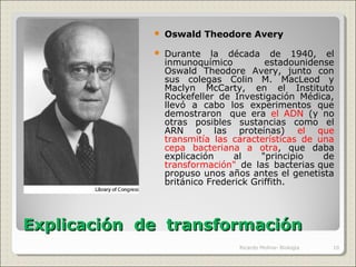 Explicación de transformaciónExplicación de transformación
 Oswald Theodore Avery
 Durante la década de 1940, el
inmunoquímico estadounidense
Oswald Theodore Avery, junto con
sus colegas Colin M. MacLeod y
Maclyn McCarty, en el Instituto
Rockefeller de Investigación Médica,
llevó a cabo los experimentos que
demostraron que era el ADN (y no
otras posibles sustancias como el
ARN o las proteínas) el que
transmitía las características de una
cepa bacteriana a otra, que daba
explicación al "principio de
transformación" de las bacterias que
propuso unos años antes el genetista
británico Frederick Griffith.
10Ricardo Molina- Biología
 