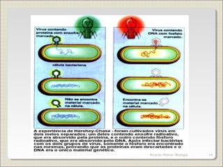 14Ricardo Molina- Biología
 