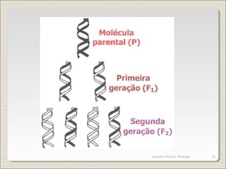 18Ricardo Molina- Biología
 