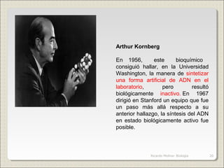 Arthur Kornberg
  
En  1956,    este    bioquímico   
consiguió  hallar,  en  la  Universidad 
Washington,  la  manera  de  sintetizar 
una  forma  artificial  de  ADN  en  el 
laboratorio,  pero  resultó 
biológicamente  inactivo. En  1967 
dirigió en Stanford un equipo que fue 
un  paso  más  allá  respecto  a  su 
anterior hallazgo, la síntesis del ADN 
en  estado  biológicamente  activo  fue 
posible. 
20Ricardo Molina- Biología
 