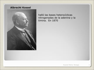 Albrecht Kossel
halló las bases heterocíclicas
nitrogenadas de la adenina y la
timina. En 1870
4Ricardo Molina- Biología
 