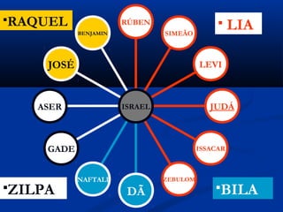 BENJAMIN
JOSÉ
ASER
GADE
NAFTALI
DÃ
ZEBULOM
ISSACAR
JUDÁ
LEVI
SIMEÃO
RÚBEN
ISRAEL
 LIA
BILAZILPA
RAQUEL
 