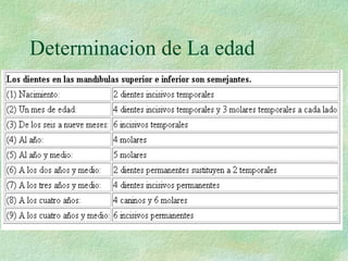 Determinacion de La edad 