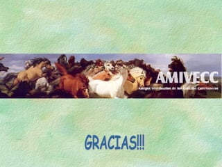 GRACIAS!!! 