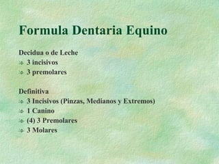 Formula Dentaria Equino Decidua o de Leche 3 incisivos 3 premolares Definitiva 3 Incisivos (Pinzas, Medianos y Extremos) 1 Canino (4) 3 Premolares 3 Molares 
