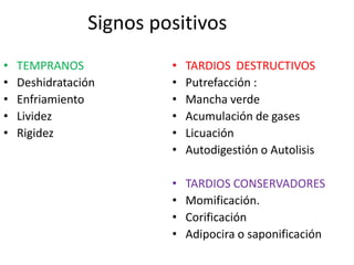 Signos positivos
• TEMPRANOS
• Deshidratación
• Enfriamiento
• Lividez
• Rigidez
• TARDIOS DESTRUCTIVOS
• Putrefacción :
• Mancha verde
• Acumulación de gases
• Licuación
• Autodigestión o Autolisis
• TARDIOS CONSERVADORES
• Momificación.
• Corificación
• Adipocira o saponificación
 