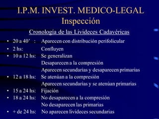 I.P.M. INVEST. MEDICO-LEGAL
Inspección
Cronología de las Livideces Cadavéricas
• 20 a 40’ : Aparecen con distribución perifolicular
• 2 hs: Confluyen
• 10 a 12 hs: Se generalizan
Desaparecen a la compresión
Aparecen secundarias y desaparecen primarias
• 12 a 18 hs: Se atenúan a la compresión
Aparecen secundarias y se atenúan primarias
• 15 a 24 hs: Fijación
• 18 a 24 hs: No desaparecen a la compresión
No desaparecen las primarias
• + de 24 hs: No aparecen livideces secundarias
 