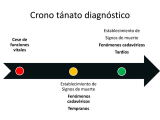 Crono tánato diagnóstico
Cese de
funciones
vitales
Establecimiento de
Signos de muerte
Fenómenos
cadavéricos
Tempranos
Establecimiento de
Signos de muerte
Fenómenos cadavéricos
Tardíos
 