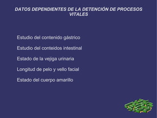 DATOS DEPENDIENTES DE LA DETENCIÓN DE PROCESOS
                    VITALES




Estudio del contenido gástrico

Estudio del conteidos intestinal

Estado de la vejiga urinaria

Longitud de pelo y vello facial

Estado del cuerpo amarillo
 