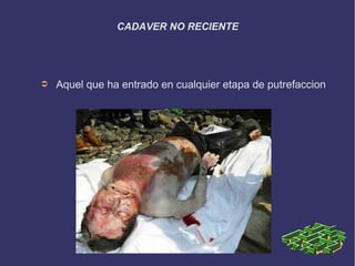 CADAVER NO RECIENTE




➲   Aquel que ha entrado en cualquier etapa de putrefaccion
 