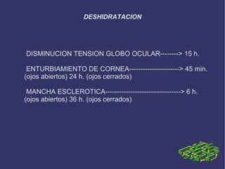 DESHIDRATACION




DISMINUCION TENSION GLOBO OCULAR--------> 15 h.

 ENTURBIAMIENTO DE CORNEA----------------------> 45 min.
(ojos abiertos) 24 h. (ojos cerrados)

 MANCHA ESCLEROTICA---------------------------------> 6 h.
(ojos abiertos) 36 h. (ojos cerrados)
 
