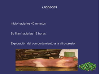 LIVIDECES




Inicio hacia los 40 minutos


Se fijan hacia las 12 horas


Exploración del comportamiento a la vitro-presión
 