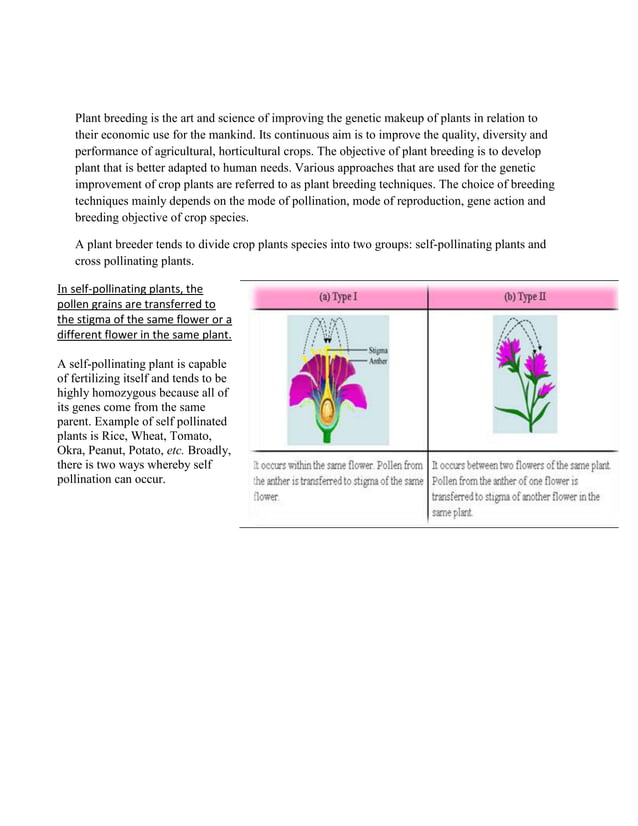 plant breeding techniques used in selfpollinated plants v/s those used