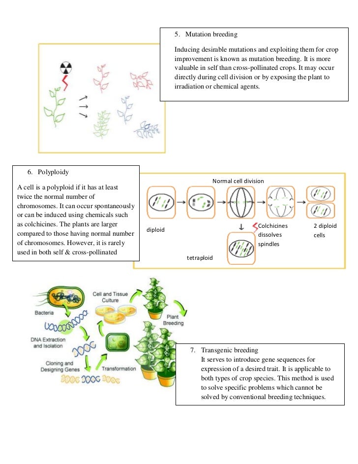 Cross Pollination and Plant Mutation Cross Pollination and Plant Mutation