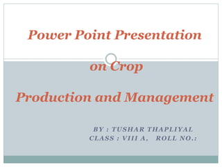 BY : TUSHAR THAPLIYAL
CLASS : VIII A, ROLL NO.:
Power Point Presentation
on Crop
Production and Management
 