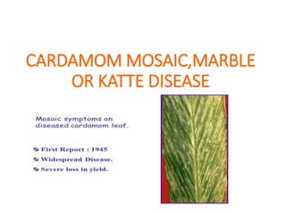 cardamom mosaic disease or katte disease | PPTX
