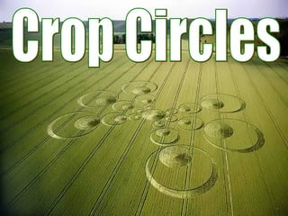 Crop Circles 