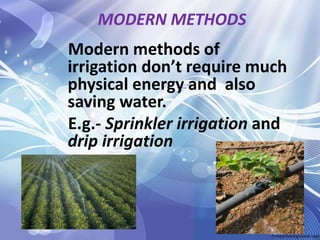 MODERN METHODS
Modern methods of
irrigation don’t require much
physical energy and also
saving water.
E.g.- Sprinkler irrigation and
drip irrigation
 