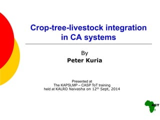 Crop-tree-livestock integration
in CA systems
By
Peter Kuria
Presented at
The KAPSLMP – CASP ToT training
held at KALRO Naivasha on 12th Sept, 2014
 